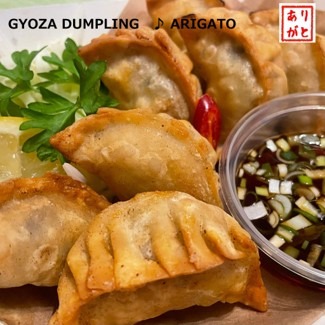 Gyoza Dumplings